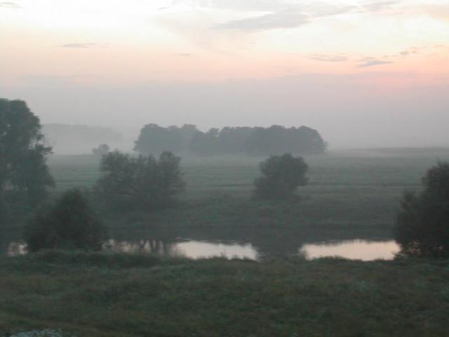gallery_135_12_43981.jpg