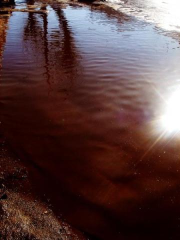 gallery_21_4_230123.jpg