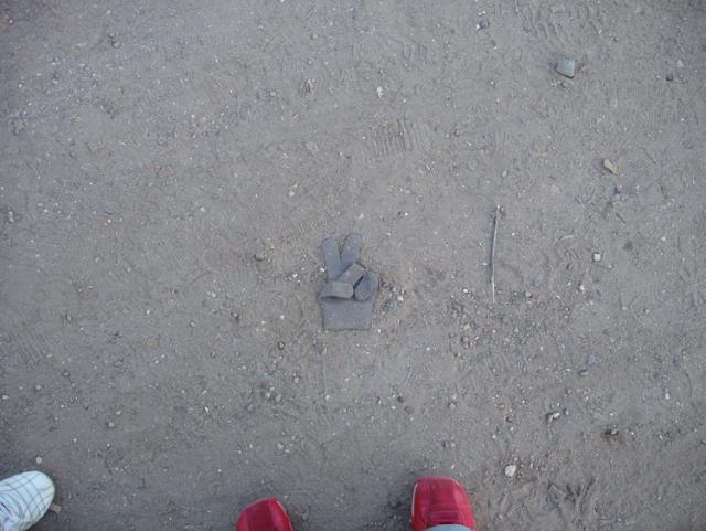 gallery_203_22_220736.jpg