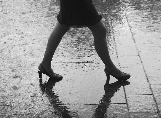 gallery_21_4_132257.jpg