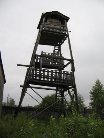 gallery_14_3_326913.jpg