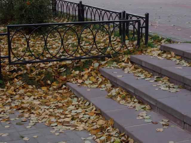 gallery_203_22_10109.jpg