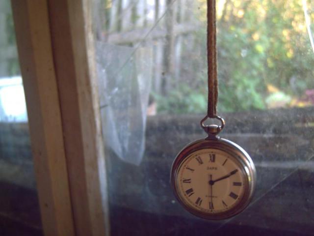 gallery_111_26_1408219.jpg