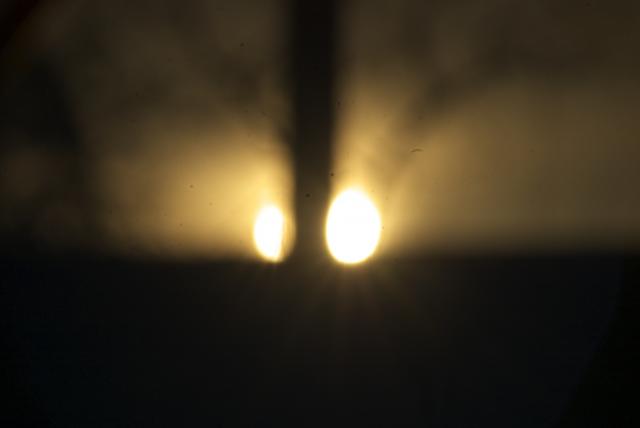 gallery_17_4_339543.jpg