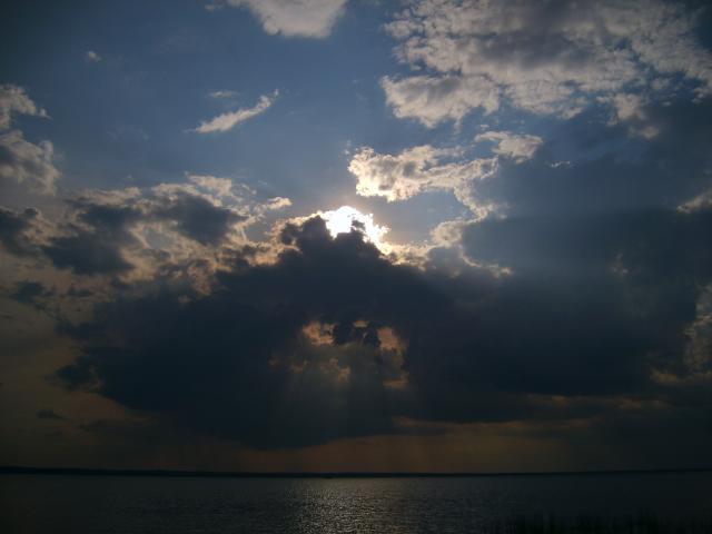 gallery_880_49_1412677.jpg
