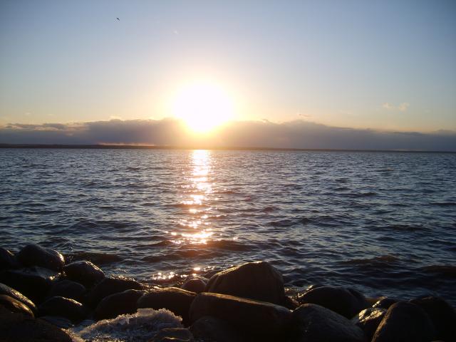 gallery_880_49_1514801.jpg