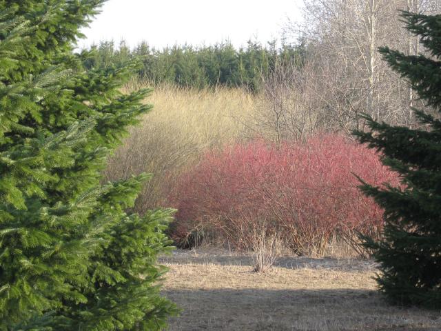 gallery_842_36_249857.jpg