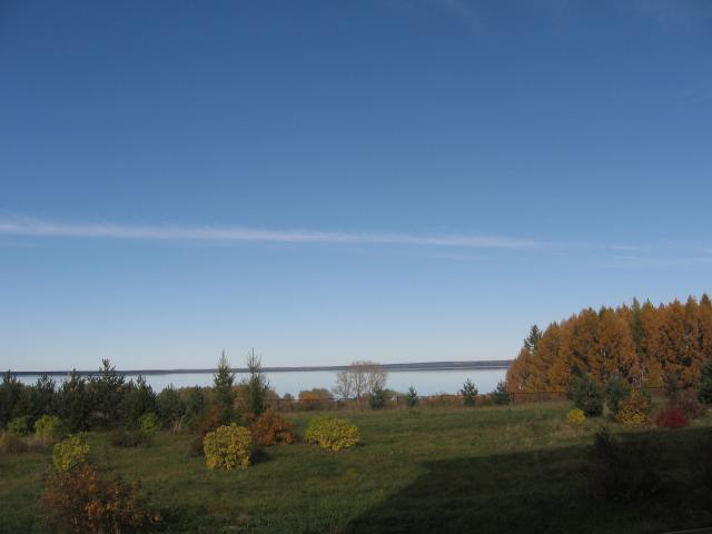 gallery_842_38_703481.jpg