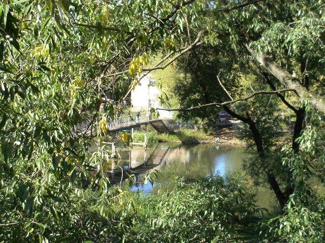 gallery_842_69_824449.jpg