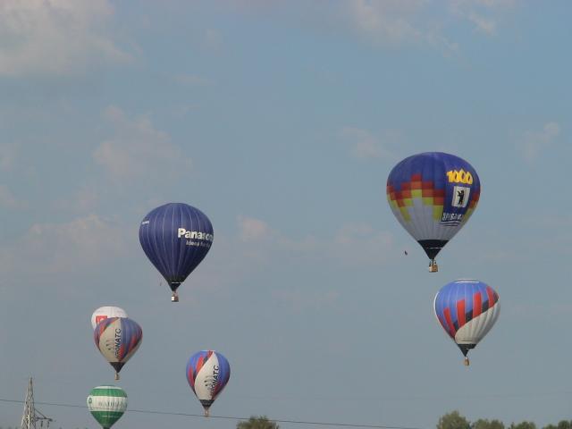 gallery_842_70_401384.jpg