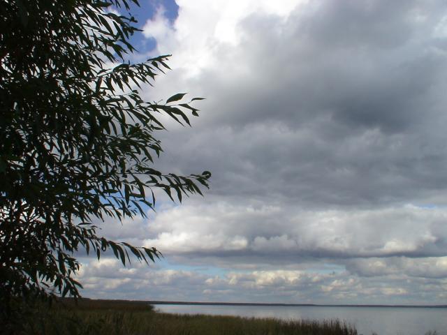 gallery_842_71_374800.jpg