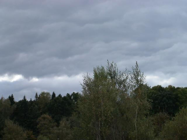 gallery_842_71_671461.jpg